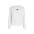 Tommy Hilfiger DW0DW10402 Ybl