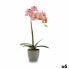 Фото #1 товара Декоративное растение Орхидея Пластик 13 x 39 x 22 cm (6 штук)