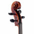 Фото #11 товара Scala Vilagio Scuola Italiana Cello S2 4/4
