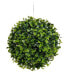 Фото #1 товара Kugel Buxus