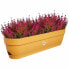 Фото #5 товара Ящик для цветов Elho Planter 70 см Пластик