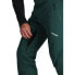 Фото #2 товара SPYDER Bormio Goretex Pants