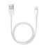 Фото #2 товара Apple Lightning to USB Cable - Cable - Digital 0.5 m - 4-pole