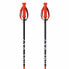 Фото #2 товара FISCHER RD 16 SL Pro Poles