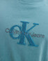 Фото #2 товара Calvin Klein Jeans chenille monologo t-shirt in turquoise