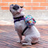 Фото #5 товара TOTTO Gary Mini Pet Backpack