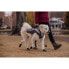 ფოტო #11 პროდუქტის RUFFWEAR Lumenglow Hi-Viz Dog Jacket