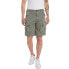 REPLAY M9989.000.84911G shorts