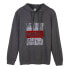 Фото #1 товара CERDA GROUP Marvel hoodie