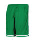 Big Boys Green Boston Celtics Hardwood Classics Swingman Shorts