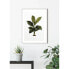 Фото #5 товара Wandbild Elastica Leaf