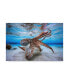 Фото #1 товара Barathieu Gabriel Dancing Octopus Canvas Art - 15" x 20"