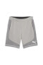 Фото #27 товара Evostripe Shorts 8 Erkek Şort