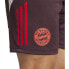 Фото #10 товара ADIDAS FC Bayern Munich 24/25 Training shorts