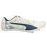 Фото #1 товара Puma Evospeed Tokyo Brush Sp Track & Field Mens White Sneakers Athletic Shoes 1