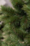 Фото #3 товара Weihnachtsbaum Tsuga