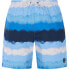 Фото #1 товара PROTEST Hamsey swimming shorts