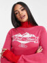 Фото #1 товара Threadbare Ski roll neck jumper in pink and red
