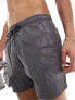 BOSS octopus swim short in medium grey