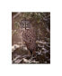 Фото #1 товара PH Burchett Owl in the Snow I Canvas Art - 36.5" x 48"