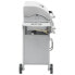 Фото #10 товара vidaXL Gasgrill 4+1 Brenner Silbern