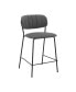 Фото #1 товара Carlo Faux Leather and Metal Counter Height Bar Stool