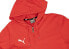 Puma Bluza męska Puma Team Goal Casuals Hooded czerwona 658595 01 M