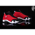 Фото #4 товара Nike Air Jordan 14 Retro Gym