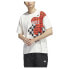 Фото #1 товара Футболка Adidas ADIDAS Pride Graphic Short Sleeve - мужская