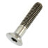 MSC Allen Titanium Bolt M6X30 mm Din7991 Gr6