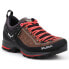 Фото #1 товара Salewa WS MTN Trainer 2 GTX W 61358-0480 shoes