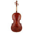 Фото #5 товара Walter Mahr Baroque Cello Stradivari 4/4