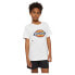 Фото #1 товара DICKIES Youth Logo short sleeve T-shirt