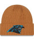 Фото #1 товара Men's Brown Carolina Panthers Core Classic Cuffed Knit Hat