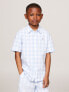 Фото #1 товара Рубашка для мальчиков Tommy Hilfiger Kids' Gingham