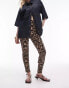 Topshop Petite leopard print legging in brown