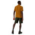 SALEWA Puez 3 Durastretch Shorts