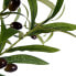 Фото #2 товара Декоративное растение Оливковое Пластик Железная проволока (85 x 150 x 85 cm)