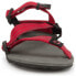 ფოტო #6 პროდუქტის XERO SHOES Z-Trail Youth Sandals