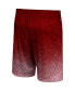 Men's Maroon Texas A&M Aggies Walter Shorts