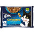 ფოტო #2 პროდუქტის PURINA Felix Sensations Salmon Shrimp Trout 4x85g Cat Snack 12 Units