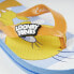 ფოტო #4 პროდუქტის CERDA GROUP Premium Looney Tunes Flip Flops