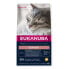 Фото #1 товара EUKANUBA Senior chicken 2 kg cat food