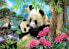 EDUCA BORRAS Puzzle 1000 Pieces Panda Bears