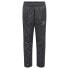 Фото #1 товара HUMMEL Core XK Training Poly Pants