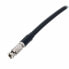 Фото #2 товара Sommer Cable MiniBNC - BNC male Cable 50cm