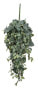 Фото #1 товара Künstliche Hängepflanze Pilea