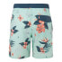 O´NEILL PM Bloom Swimming Shorts