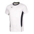 Фото #1 товара Mizuno Premium High-Kyu M T-shirt V2EA700271