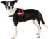 Фото #2 товара Шлейка для собак TRIXIE Julius-K9 Mini/M: 51–67 см, красная